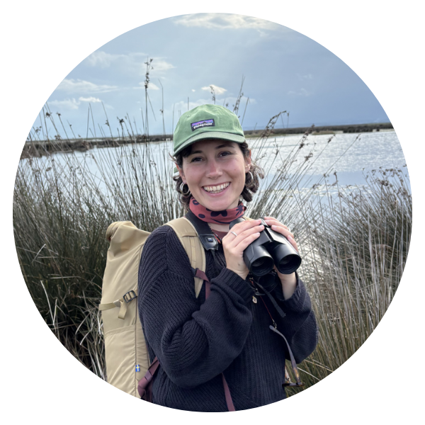 rs_yaz_guvendi_profil