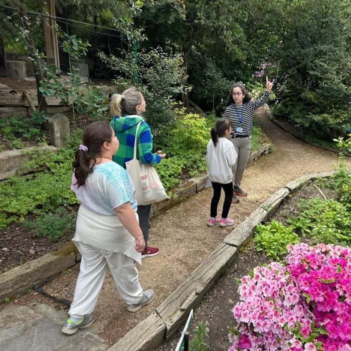 Nezehat-gokyigit-botanik-bahcesi1