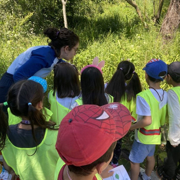 Nezehat-gokyigit-botanik-bahcesi2