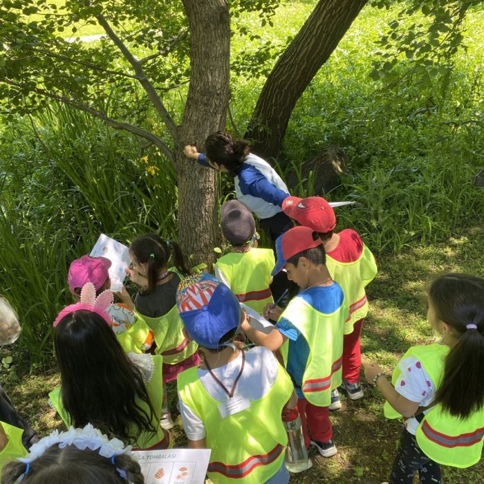 Nezehat-gokyigit-botanik-bahcesi3